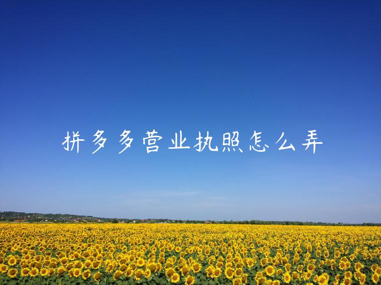 拼多多營(yíng)業(yè)執(zhí)照怎么弄